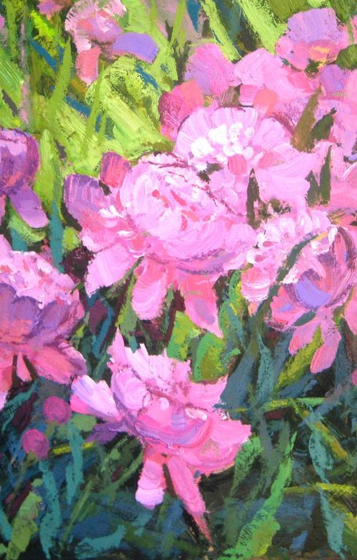 peonies by Sergey  Kachin