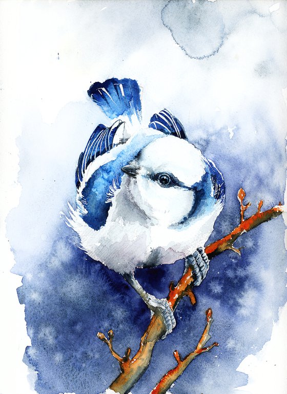 Azure Tit, wildlife, birds watercolours