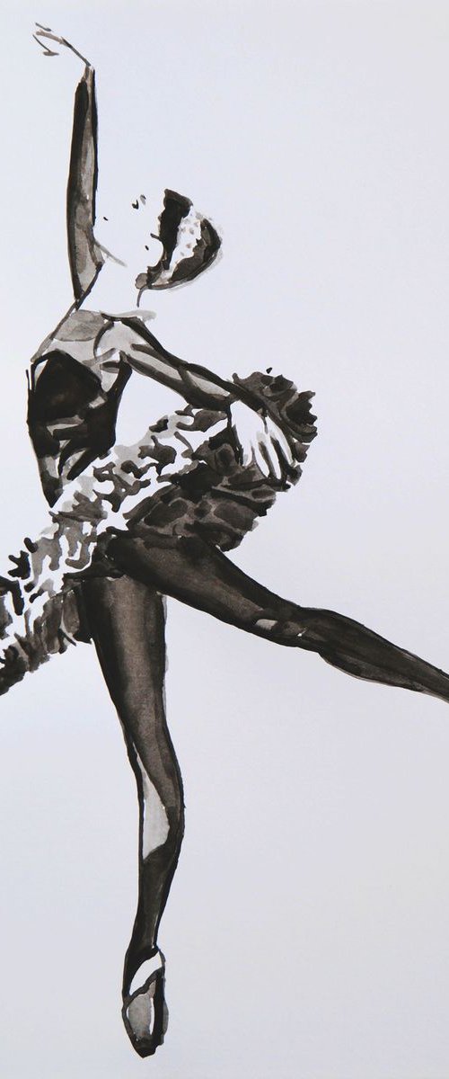 Black Swan / 37.7 X 26.3 cm by Alexandra Djokic