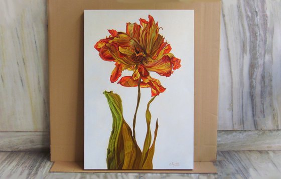 Red Flower, Exclusive Oil Art