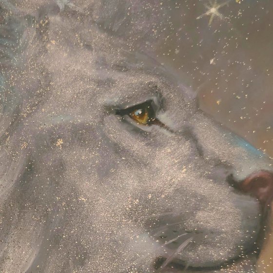 King of the Cosmos