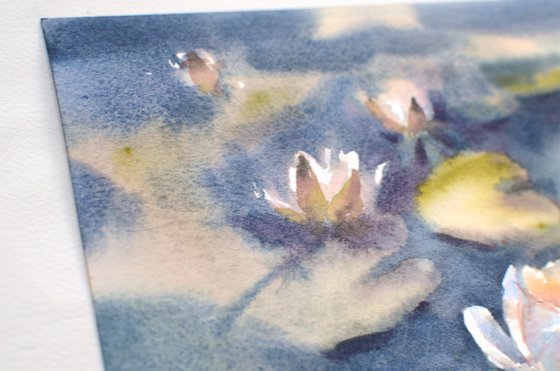 Water lilies in watercolor, White flowers of the river