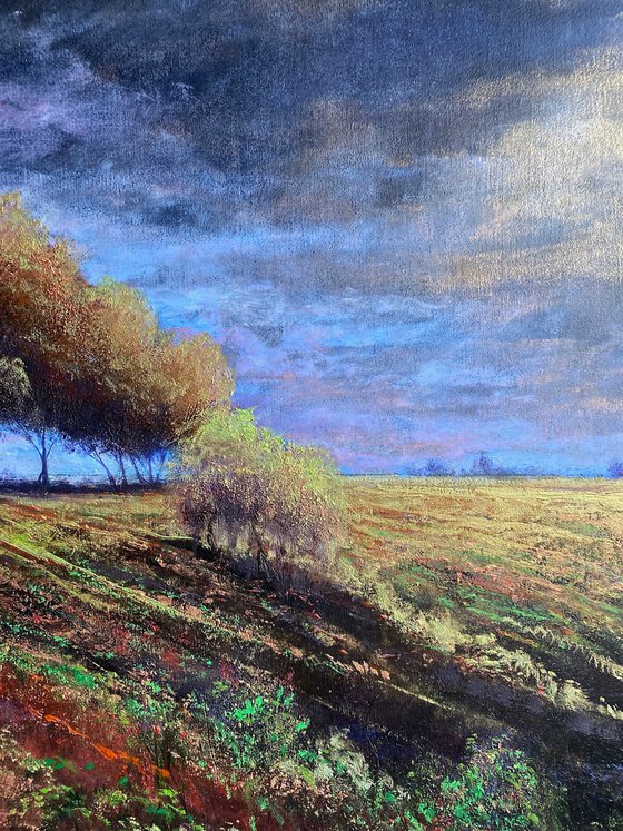 Southfield Copse