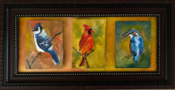 Bird collection 3 piece set original oil paintings mounted on gessoed surface