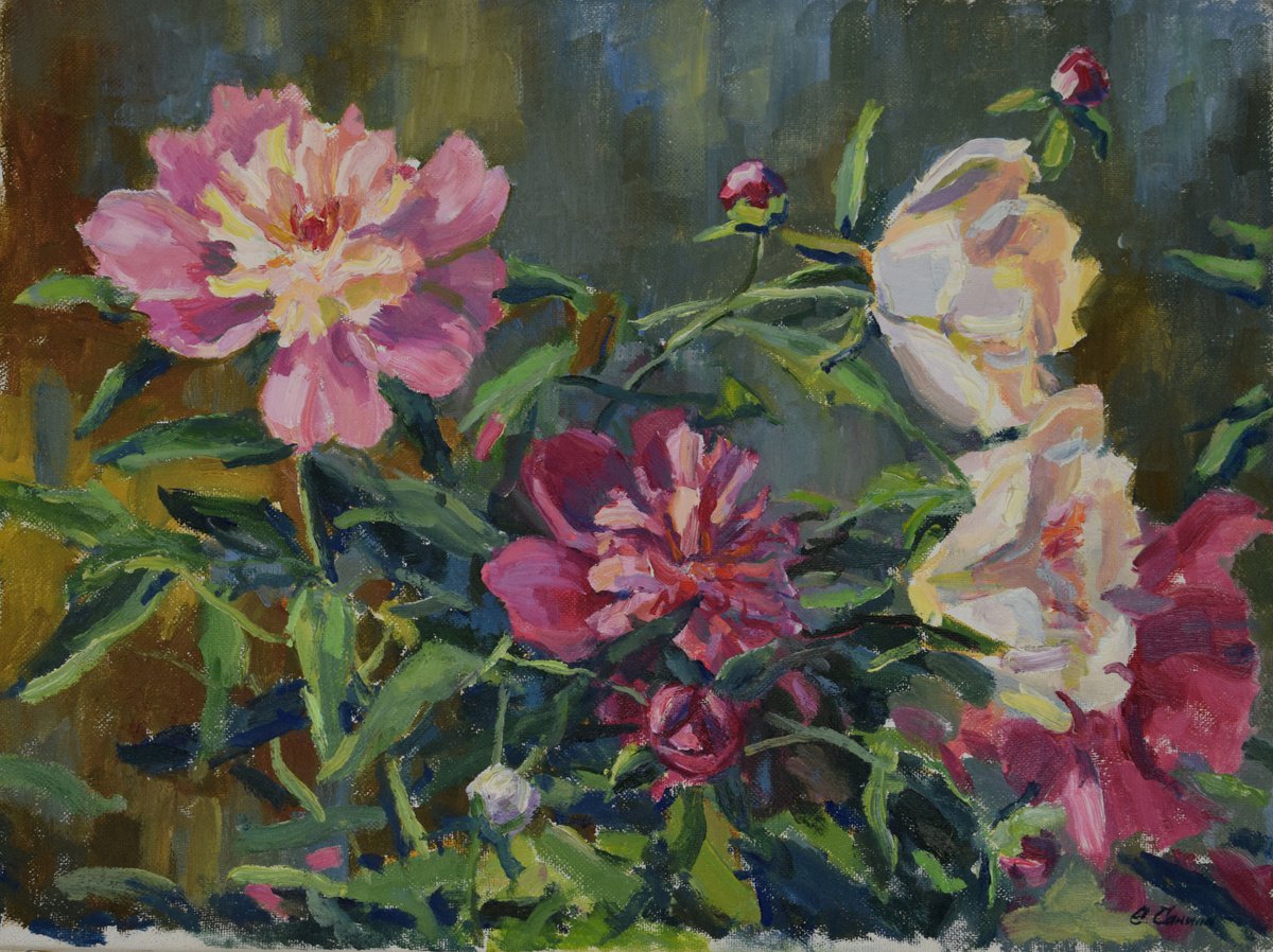 Bright peonies by Elena Sanina