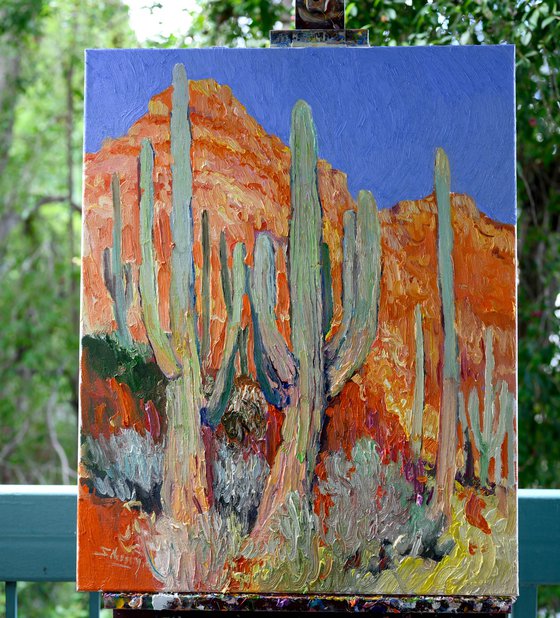 Saguaro Cactuses and Red Rocks, Desert in Arizona