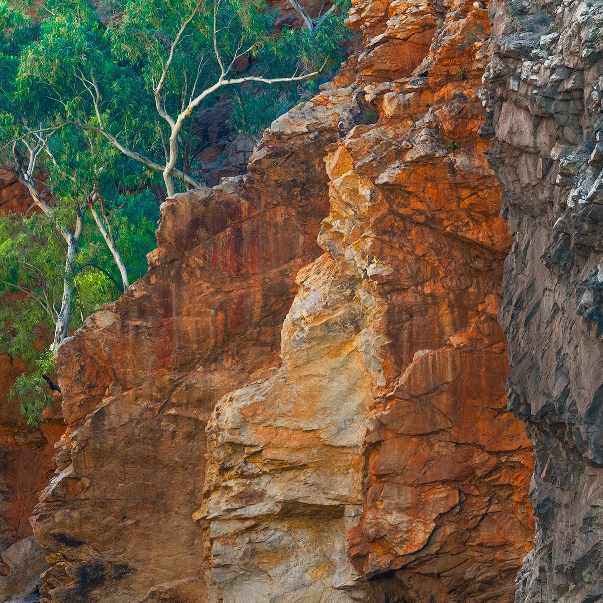 Photorealistic Landscape Photograph By Nick Psomiadis, 35 X 35", Earth, Original Artwork