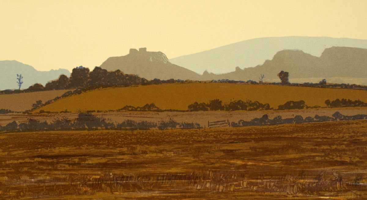 Dunamaise View, Co. Laois by Aidan Flanagan Irish Landscapes