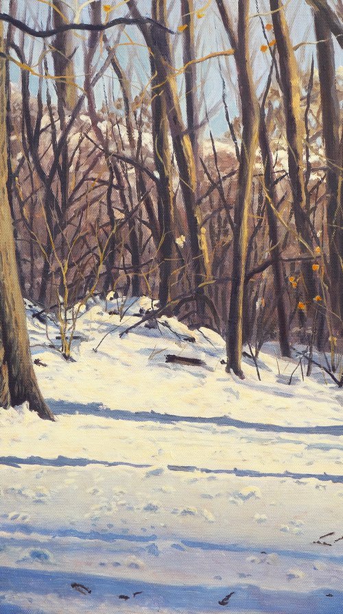 Snowy Afternoon by Daniel Fishback