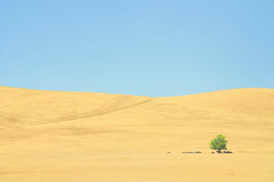 High Noon