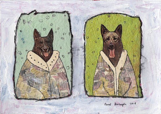 Two sheepdogs