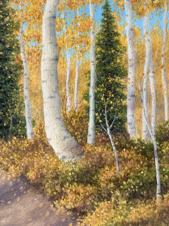 Golden Aspens