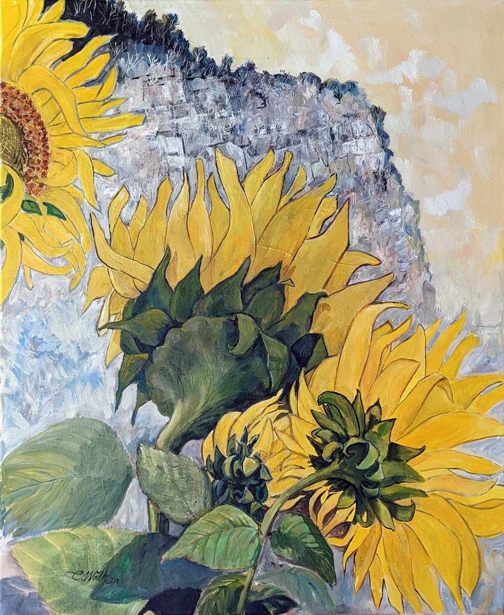 Expressive Botanical Oil Painting By Chris Walker, 20 X 24, Sunflowers Under The Cliff, Original Artwork