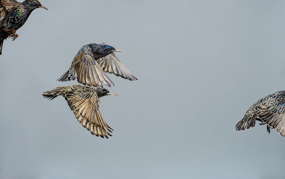 Photorealistic Animal Oil Painting By Natalie Toplass, 43 X 28", Murmur, Original Artwork