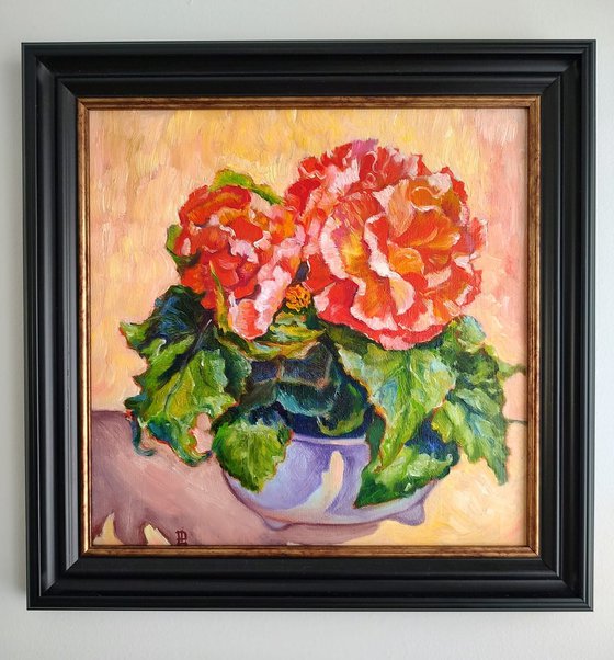 Begonia FRAMED