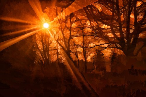 Dark Light over Haglands Copse by Christopher West