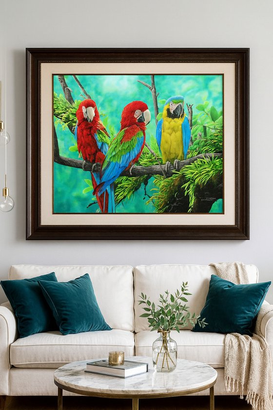 Macaws