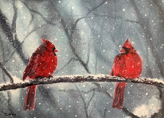 Red Cardinals