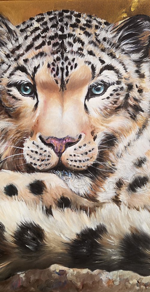 Kingley the Snow Leopard by Arti Chauhan