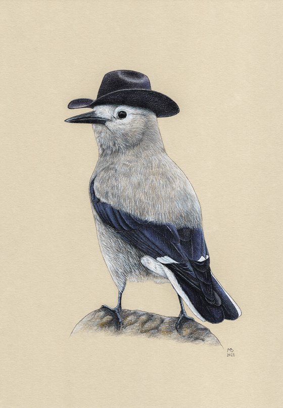 Original pastel drawing bird "Clark's nutcracker"