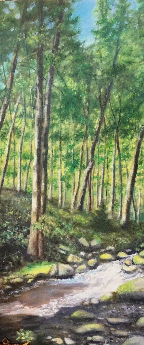 DEEP IN THE SMOKIES by Kathleen McDermott