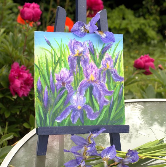 Irises