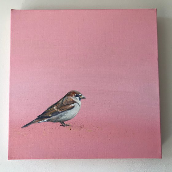 My Little Sparrow on Rose Gold