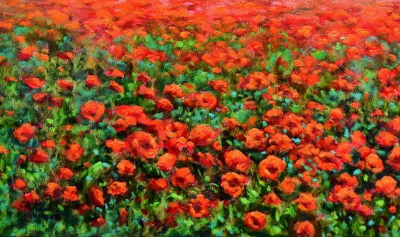 Red Poppies