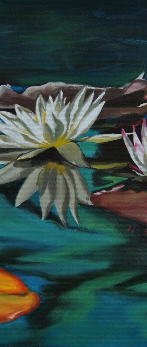 Water lily by Simona Tsvetkova