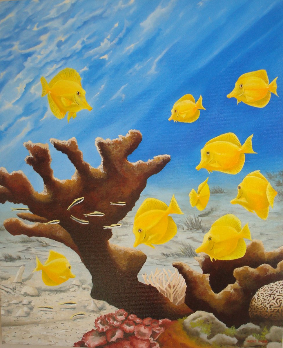 Impressionistic Animal Oil Painting By Shayne Mcgirr, 18 X 22", Yellow Tang, Original Artwork