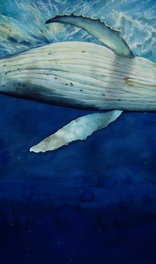 Trusting Leviathan by Olga Beliaeva Watercolour