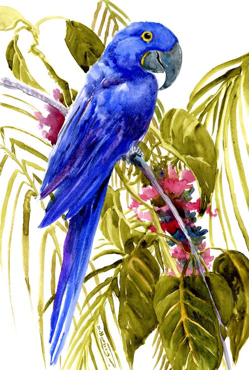 Hyacinth macaw Birds Parrot in the Jungle by Suren Nersisyan