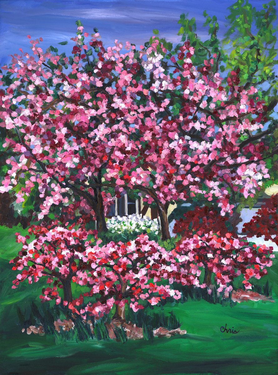 Five Trees by Christina M Plichta