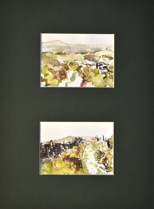 "the paths we take" -Landscape Watercolour Study No 15 by Ian McKay