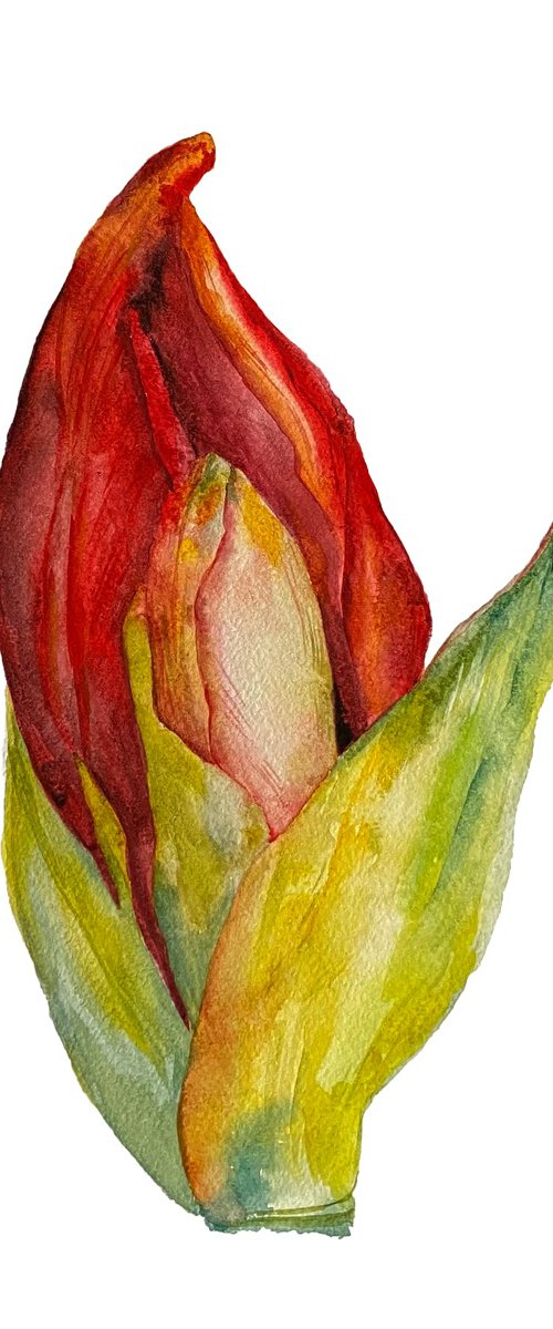 Botanical No.4 by Anna Lyashenko