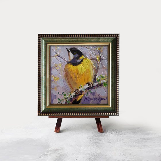 Australian golden whistler bird painting original 4x4, Framed oil painting yellow bird on branch, Mini painting of birds gift for bird lovers