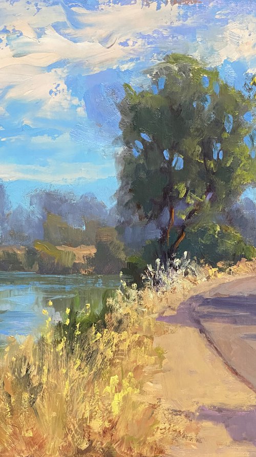 American River Parkway Trails by Tatyana Fogarty