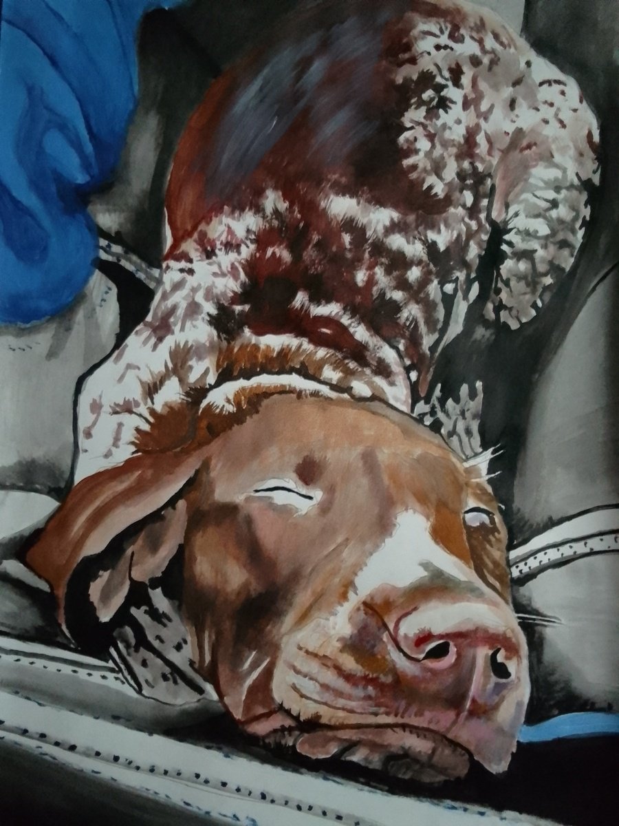 Photorealistic Animal Acrylic Painting By Soso Kumsiashvili, 24 X 33", German Shorthaired Pointer, Original Artwork