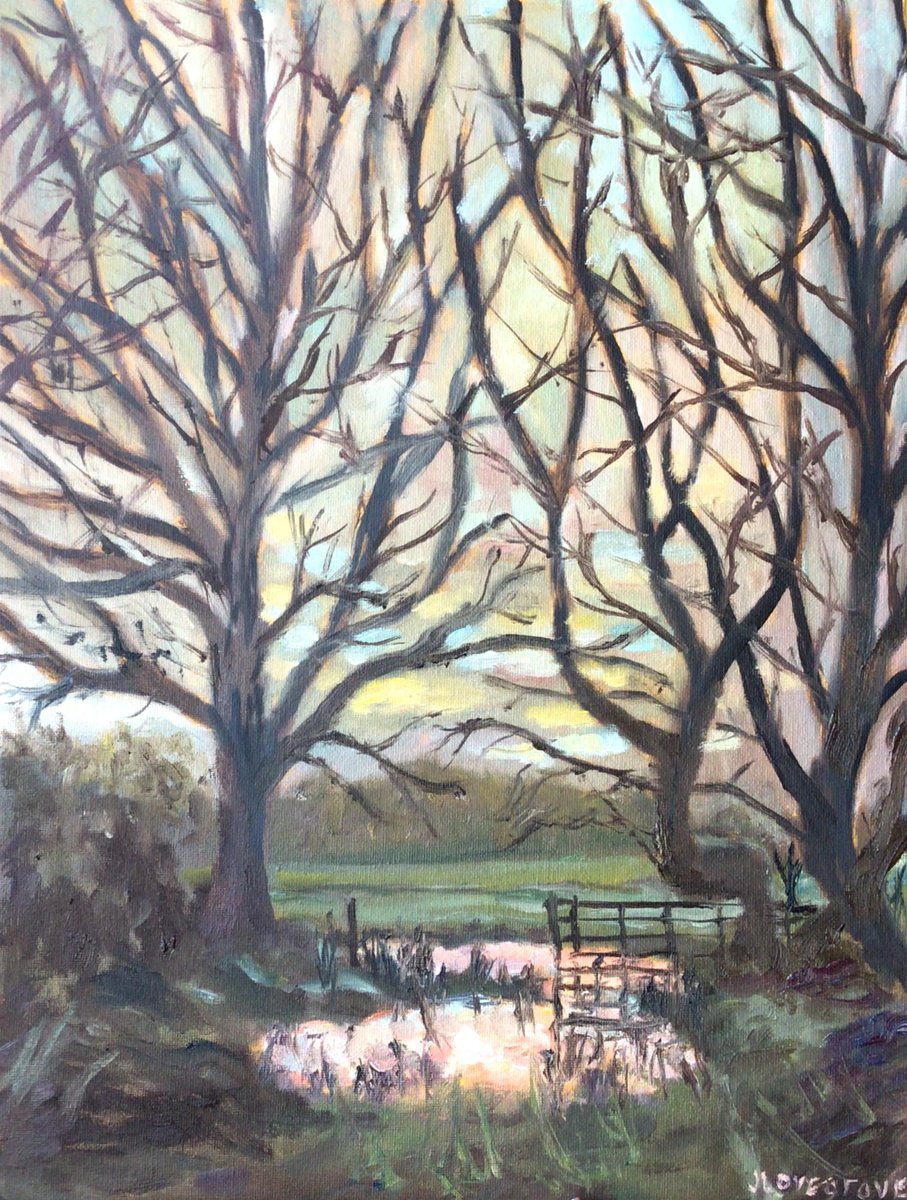 Norfolk Trees, early evening by Julian Lovegrove Art