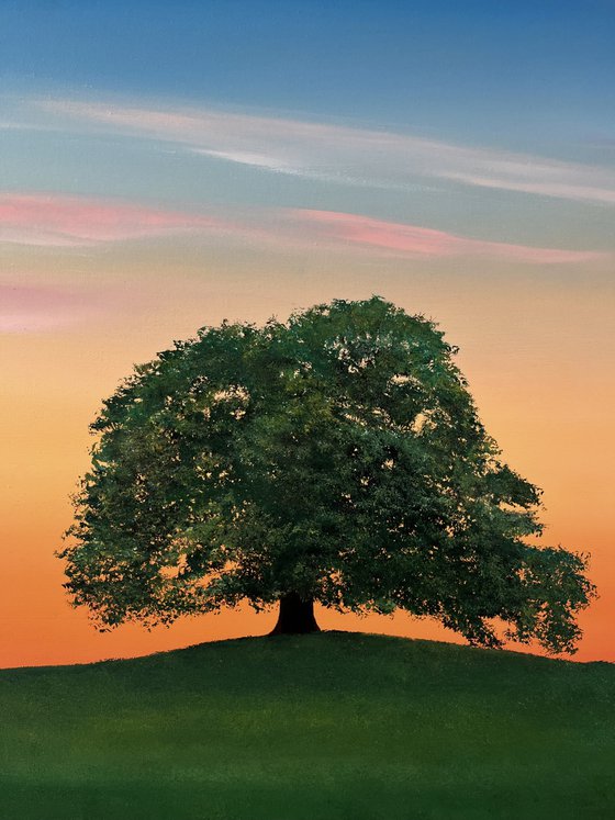 The Embrace of Exquisite Stillness