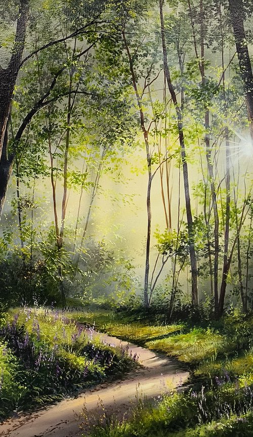 Sun-Kissed Path by Sergei Miqaielyan