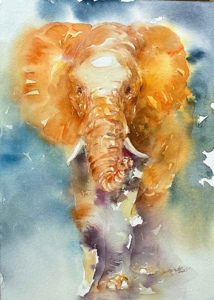 In a Dream_ Elephant by Arti Chauhan