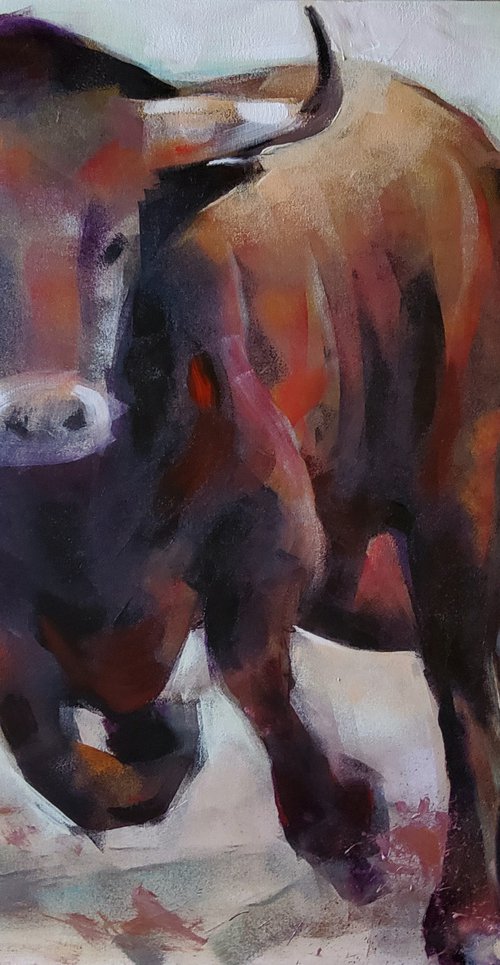 Toro series 5 by Marina Del Pozo