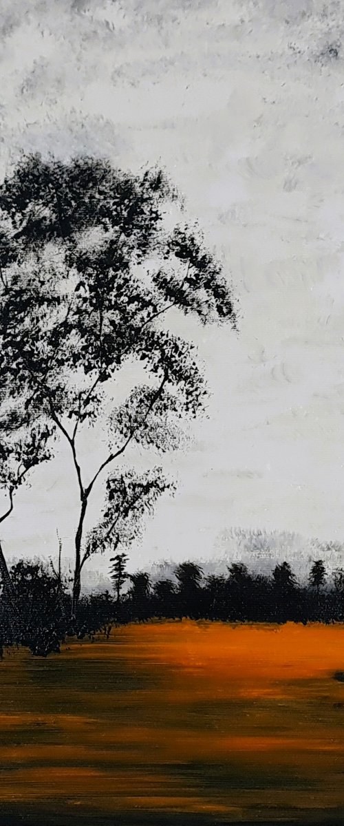 Sun in the lake by Daniel Urbaník