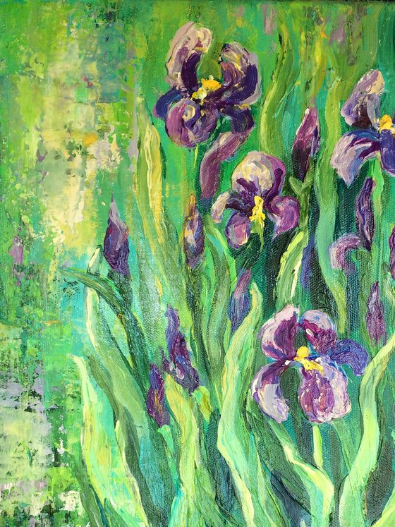 Purple Irises