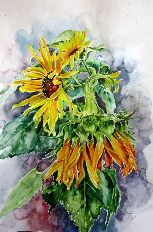 Sunflowers in the garden by Kovács Anna Brigitta