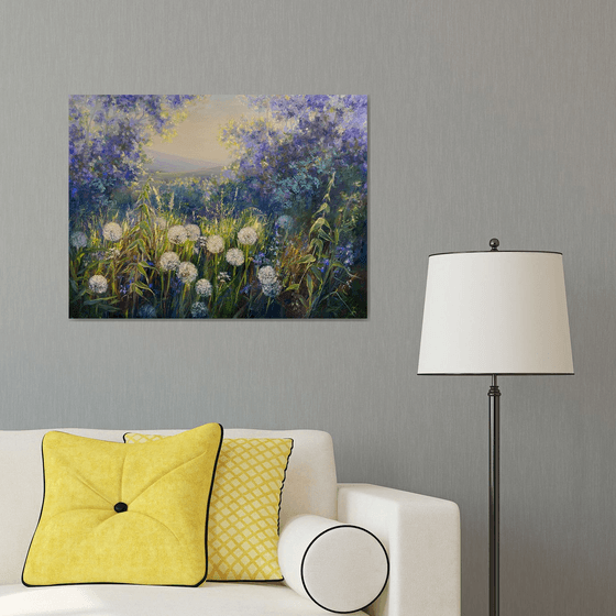 Dandelion evening. Scenery.  Wildflowers Dandelions.  Evening light.