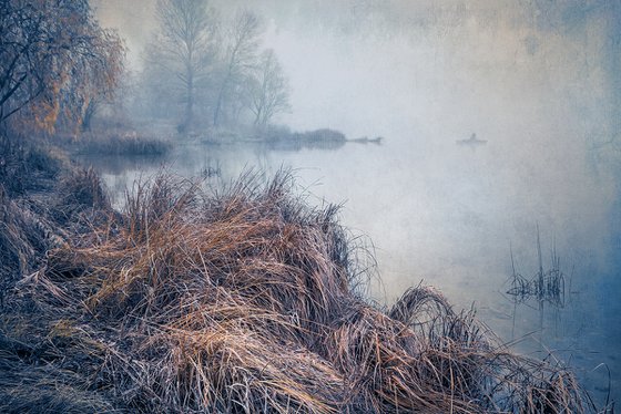 Misty Harbor.