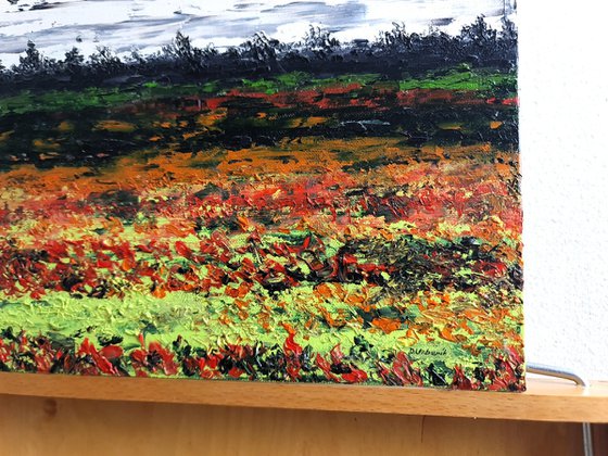 Meadow after rain 2