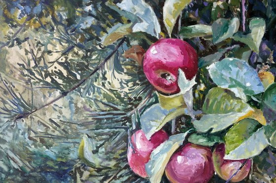 September Forest Paradise Apples